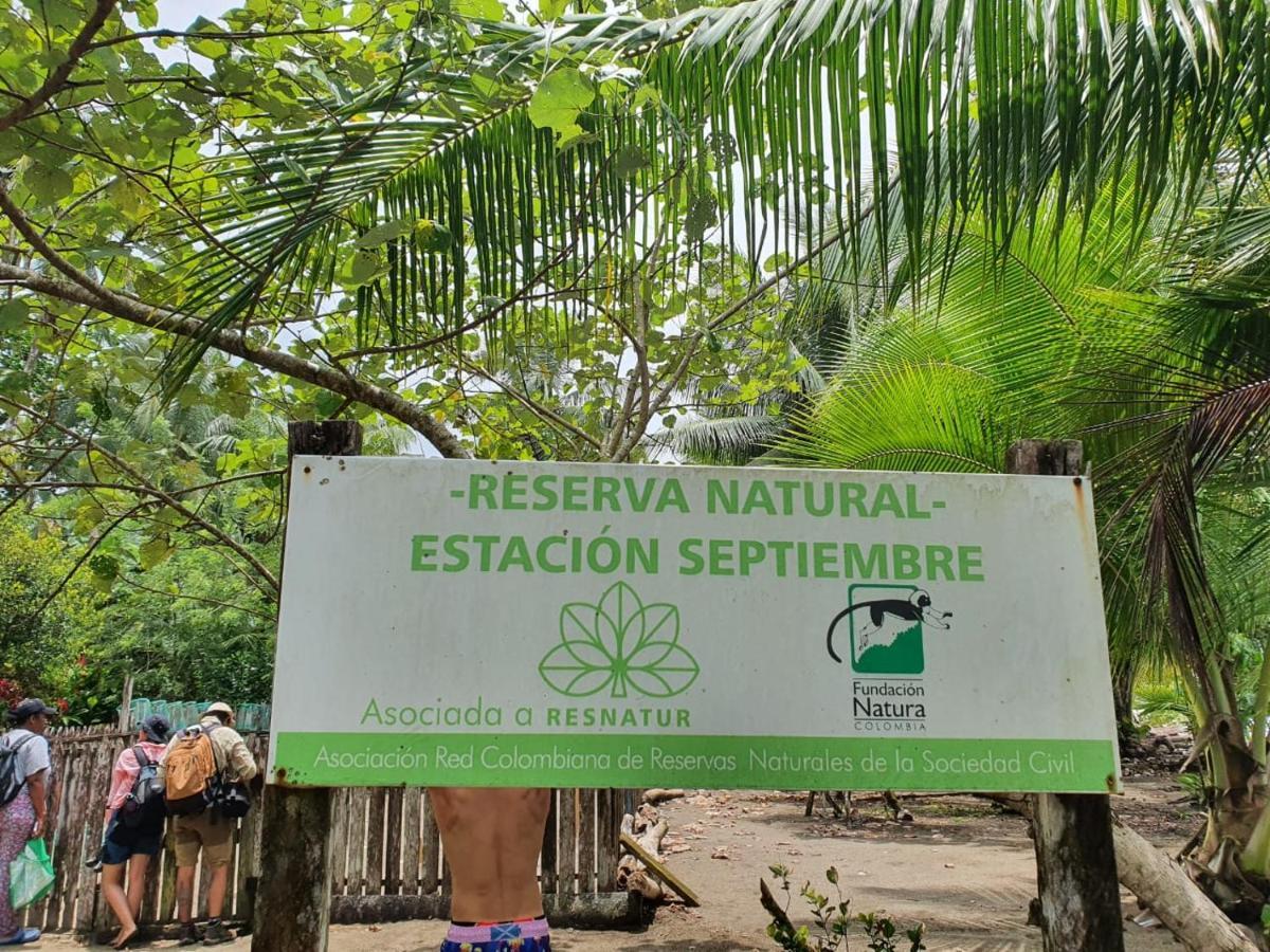 La Tarima Del Colibri Ecolodge El Valle  Kültér fotó