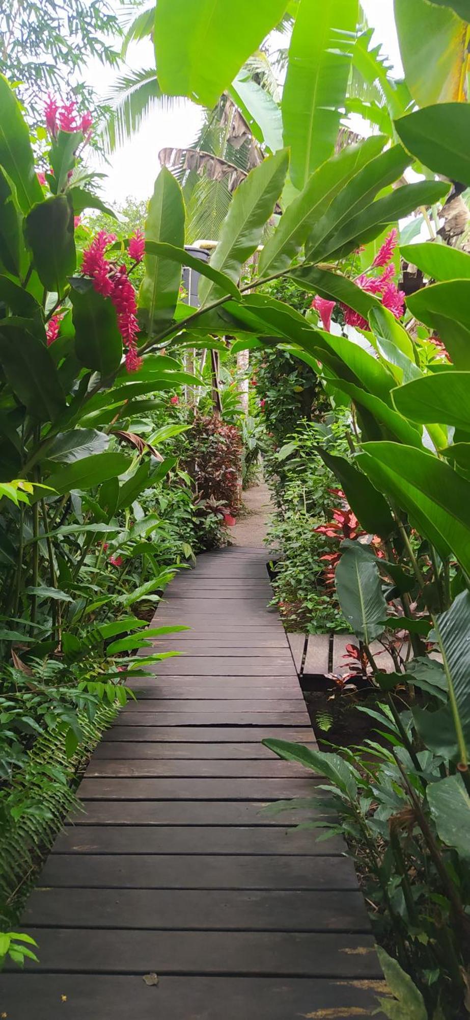 La Tarima Del Colibri Ecolodge El Valle  Kültér fotó