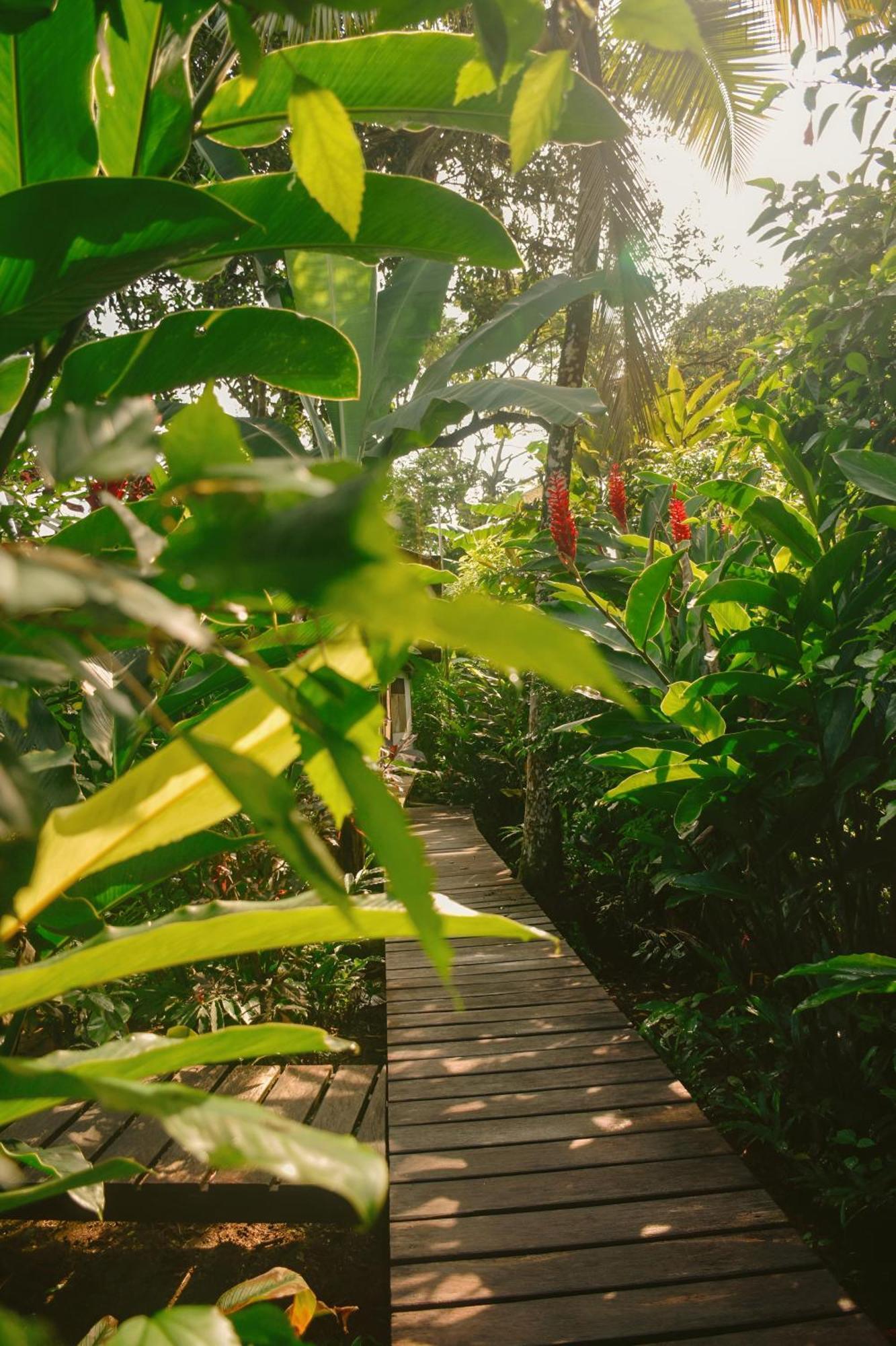 La Tarima Del Colibri Ecolodge El Valle  Kültér fotó