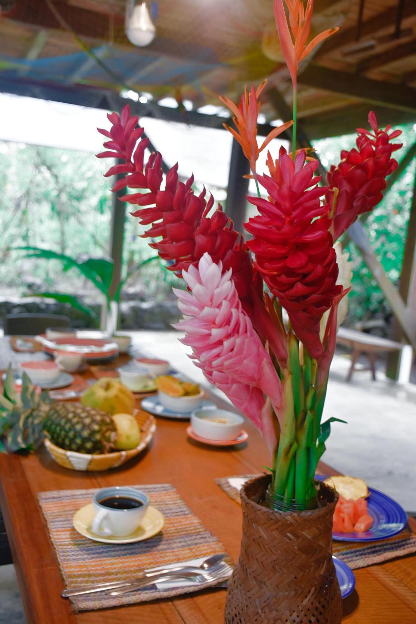 La Tarima Del Colibri Ecolodge El Valle  Kültér fotó