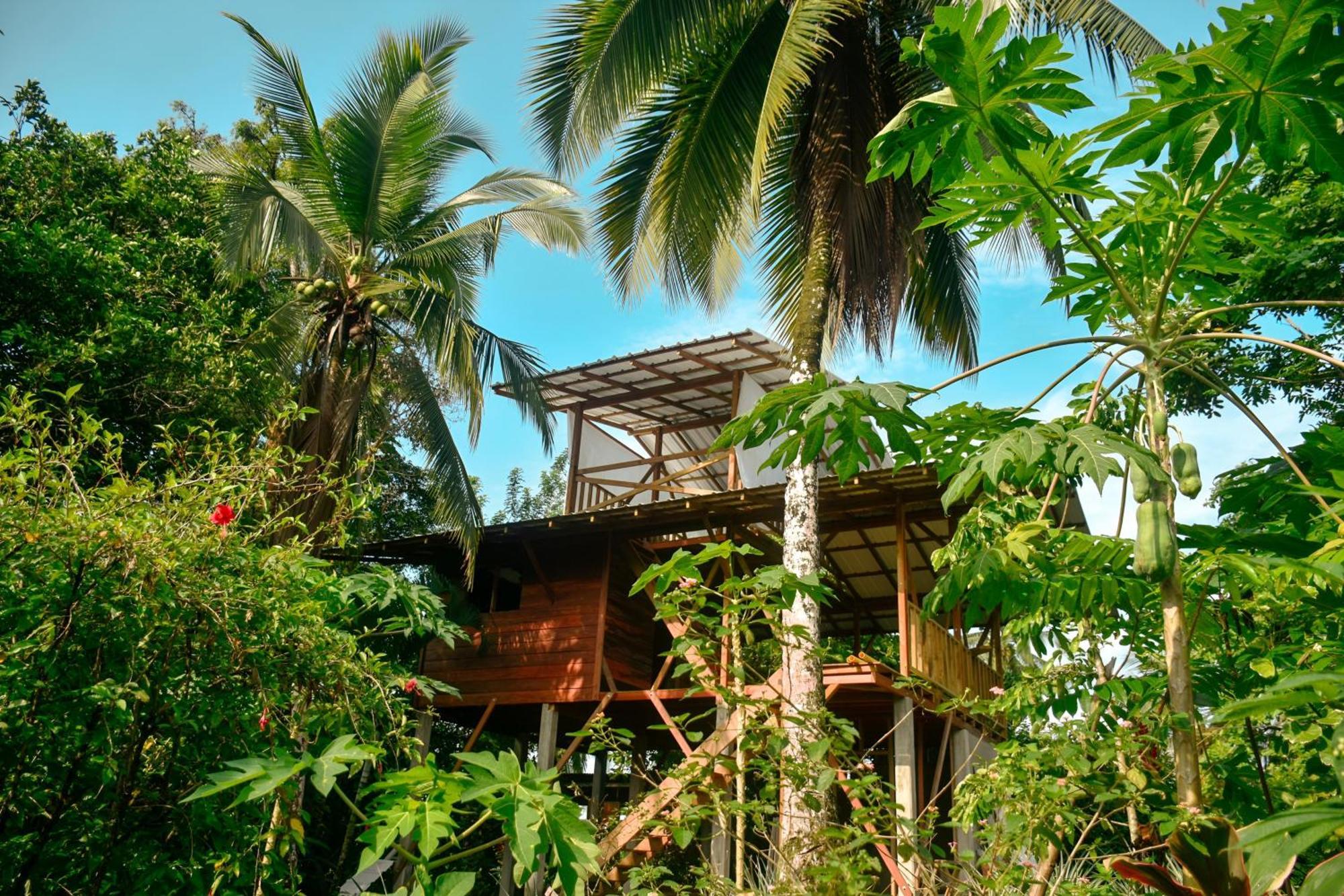 La Tarima Del Colibri Ecolodge El Valle  Kültér fotó